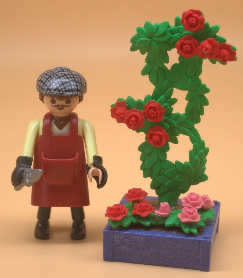 Playmobil Rosenzüchter 4487 gebraucht