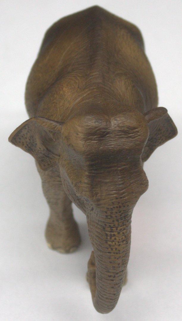 Schleich asiatische Elefantenkuh